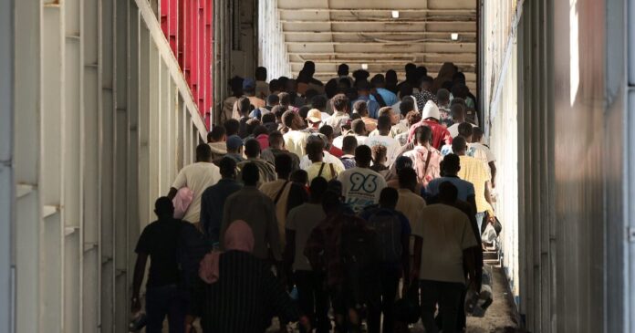 metanastes 1200x630.jpg