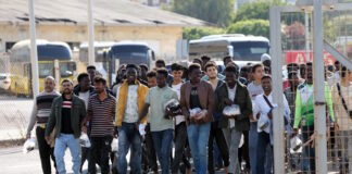 metanastes krhth 2 1200x630.jpg