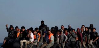 metanastes metanastes 1200x630.jpg