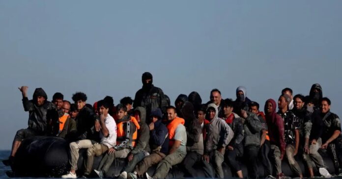 metanastes metanastes 1200x630.jpg