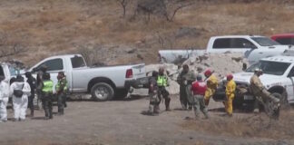 mexico tafoi grab 1200x630.jpg