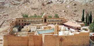 moni sina2 1200x630.jpg