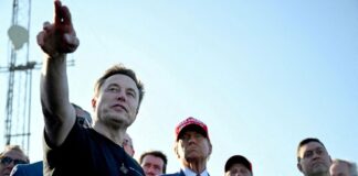 musk trump 1200x630.jpg