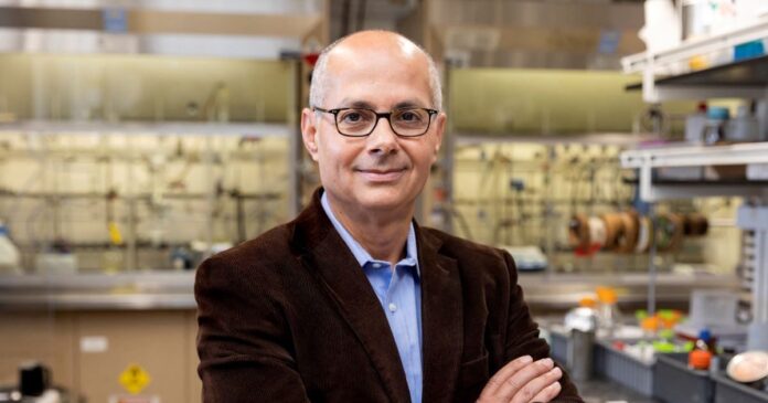 omar yaghi 1200x630.jpg