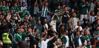 opadoi pao 1 1200x630.jpg