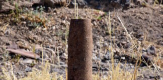 ovida 16102025 1200x630.jpg