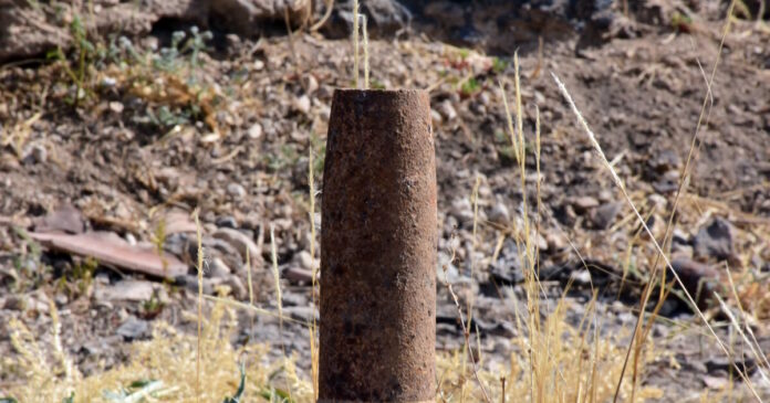 ovida 16102025 1200x630.jpg ovida 16102025 1200x630.jpg