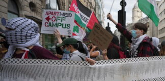 palestine2 1200x630.jpg