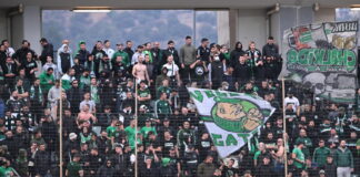 paofans1 1200x630.jpg