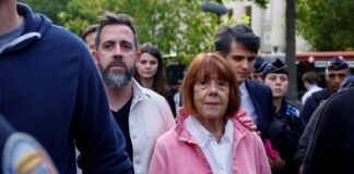 peliko 1 1200x630.jpg