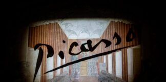 picasso 1200x630.jpg