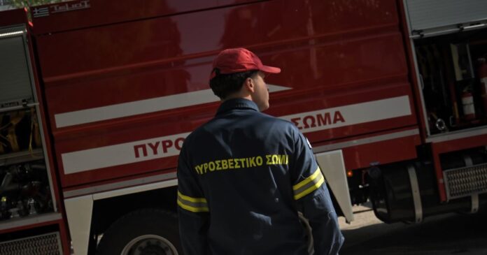 pirosvestiki 1200x630.jpg