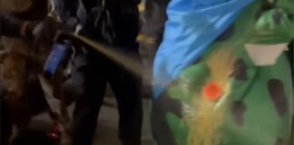 portlqnd 1200x630.jpg