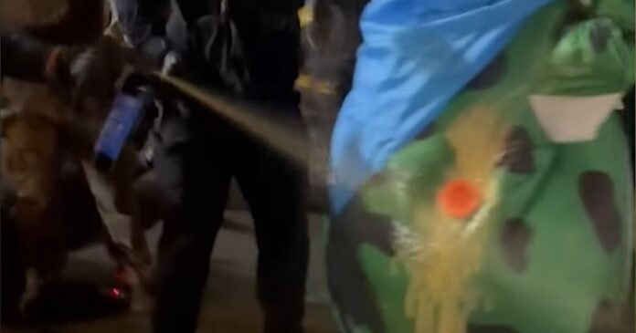 portlqnd 1200x630.jpg