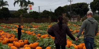 prince harry meghan 1200x630.jpg