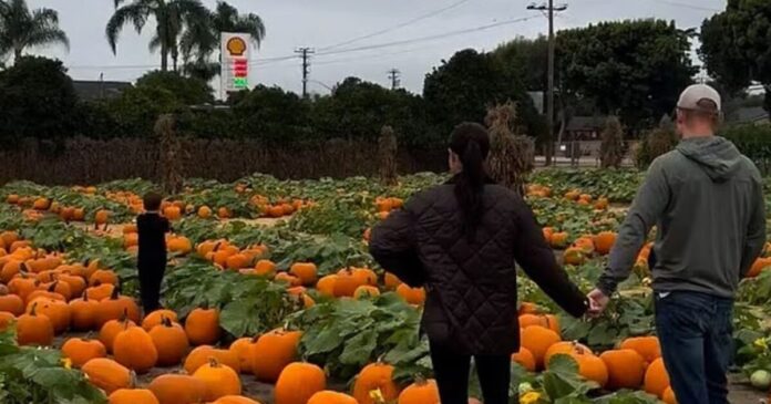 prince harry meghan 1200x630.jpg