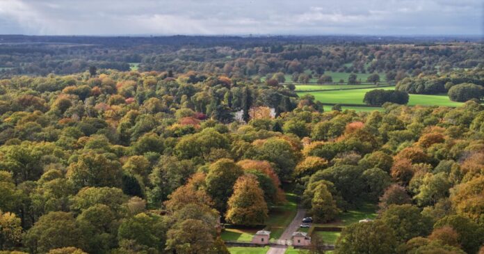 royal lodge2 1200x630.jpg royal lodge2 1200x630.jpg