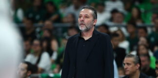 serelis 1200x630.jpg