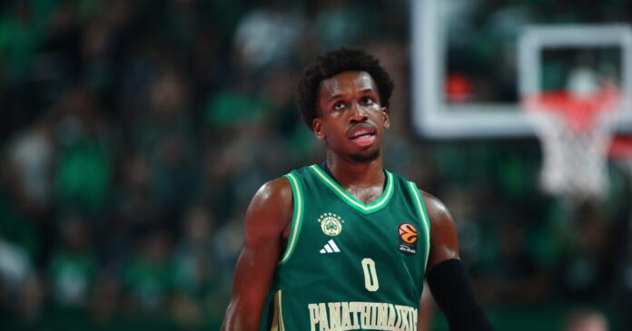 shorts 4 1200x630.jpg