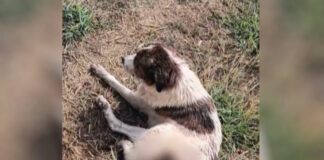 skulos naupaktos 1200x630.jpg