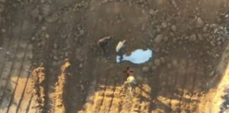 soros hamas grab 1200x630.jpg