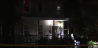 state island 1200x630.jpg