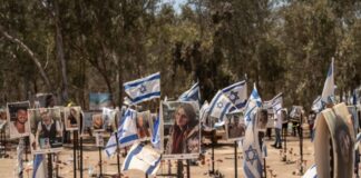 supernova festival 1200x630.jpg