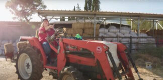 thodi grab 1200x630.jpg