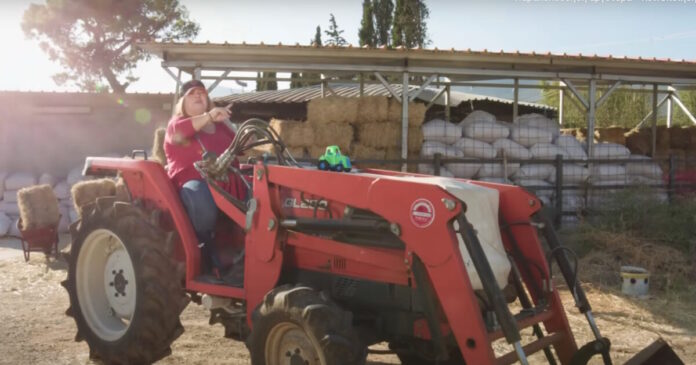 thodi grab 1200x630.jpg