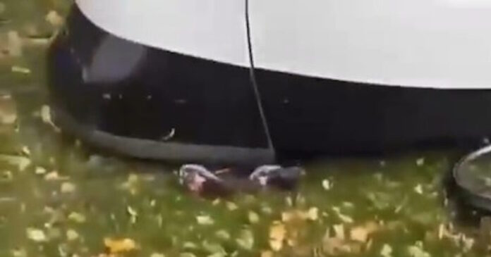 tram gallia 1200x630.jpg tram gallia 1200x630.jpg