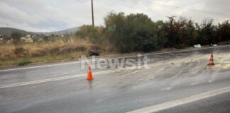 troxaio afidnes1 1200x630.jpg