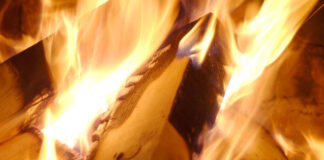 tzaki 19102025 1200x630.jpg