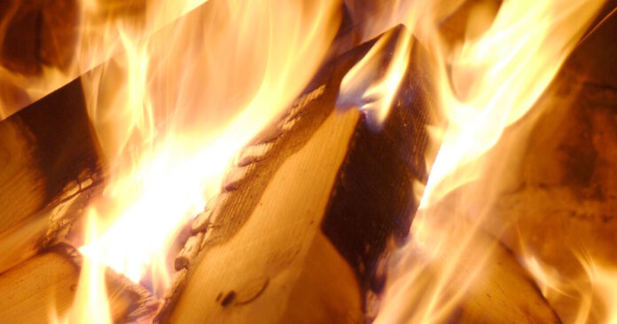 tzaki 19102025 1200x630.jpg