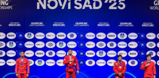 vavilis 1200x630.jpg