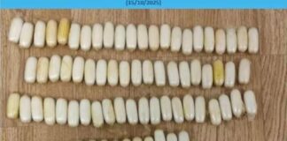 venizelos 134523.jpg