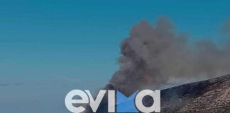 via fotia 1200x630.jpg