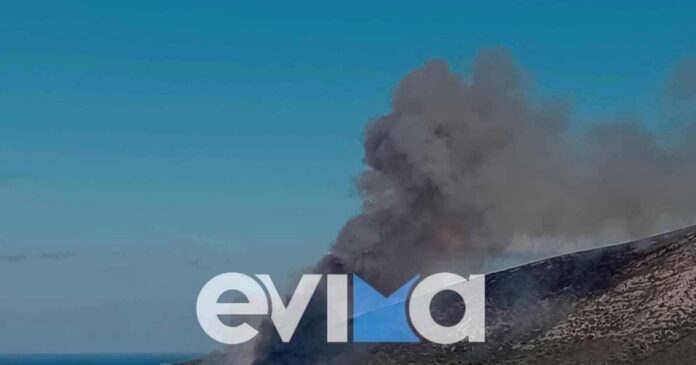 via fotia 1200x630.jpg