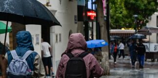 vroxi 1 1 1200x630.jpg