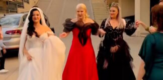 xara verra 1200x630.jpg