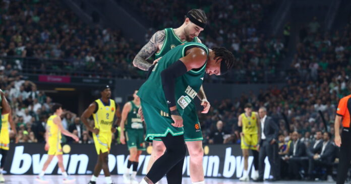 xolms1 1200x630.jpg xolms1 1200x630.jpg