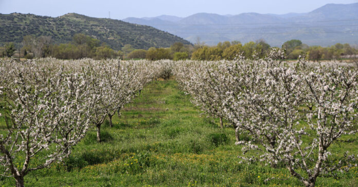 xorafi eurok opekepe1 1200x630.jpg