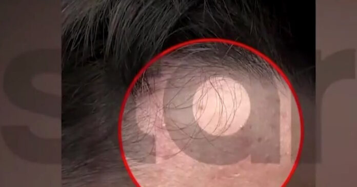 xylodarmos 1200x630.jpg xylodarmos 1200x630.jpg