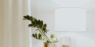 001204790d935af1737f2ec66e508c60 L.jpg