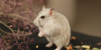 02674883501887f14c3be7139f7cc0c5 L.jpg