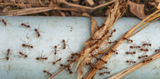 274647eb9475beee04a168061bc303c9 L.jpg