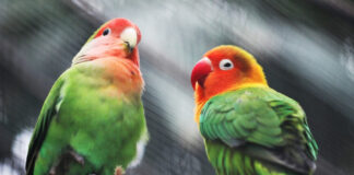 747405541de646be23e36ed3778d7f43 L.jpg