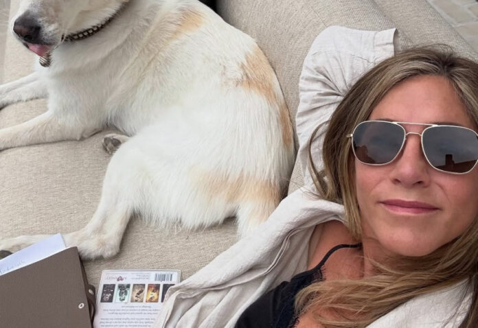 812d0ed4312f6710acc11aa987a767f0 L.jpg