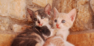 920147ed8075001f2e38cb87df83813c L.jpg