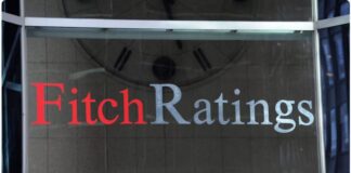 Fitch 1.jpg
