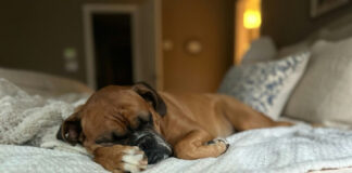 af2edb20701074f61c6cefacc51e7b5d L.jpg